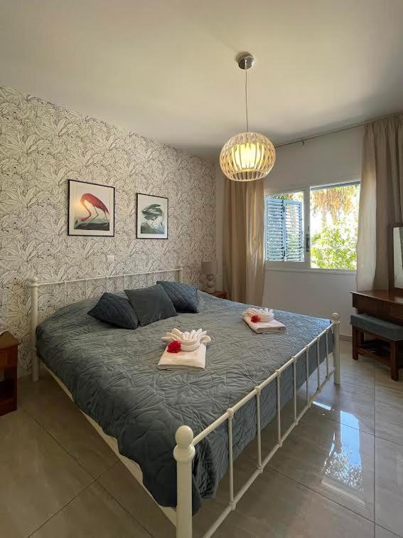 Timeless Cyprus Apartment Paphos Exterior photo